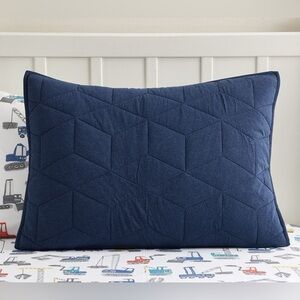 Pottery Barn Kids Standard Sham
